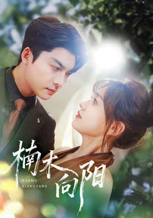 楠木向阳(70集) 楠木向阳(70集)网盘在线观看