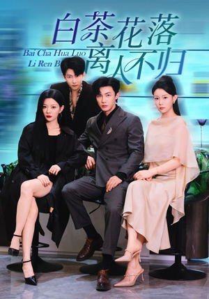 白茶花落离人（51集）精彩短剧分享。