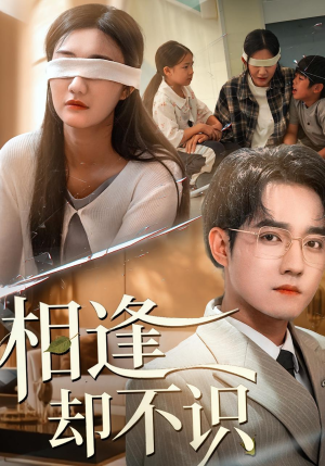 相逢却不识(77集) 相逢却不识(77集)免费看短剧