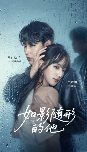 如影随形的他（30集）短剧完整版免费