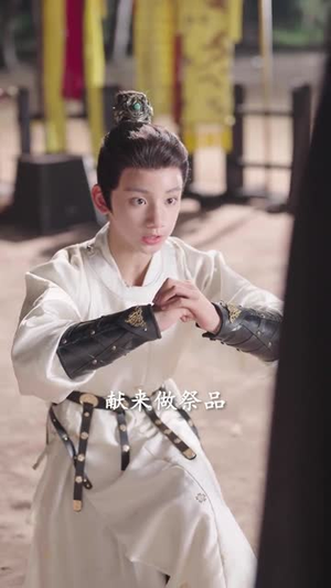 偷宫（72集）短剧热播中