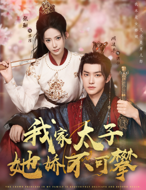 我家太子她娇不可攀（80集）追风的女孩短剧