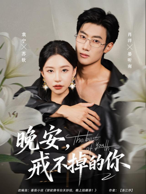 晚安，戒不掉的你（68集）最火短剧热播中