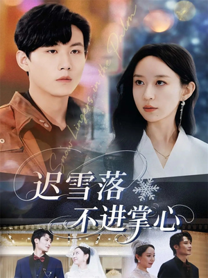 迟雪落不进掌心（79集）免费短剧资源