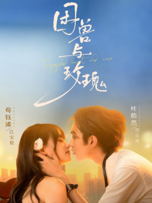 困兽与玫瑰(90集) 困兽与玫瑰(90集)大结局太过瘾了