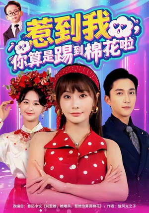 惹到我，你算是踢到棉花啦（67集）短剧追不停