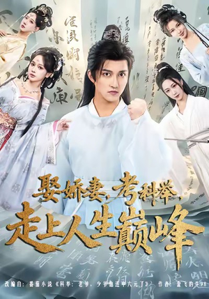 娶娇妻,考科举,走上人生巅峰(80集) 娶娇妻,考科举,走上人生巅峰(80集)一口气看完全集