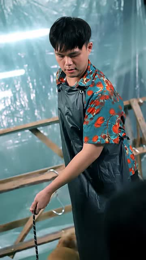 迟到的回声(75集) 迟到的回声(75集)热门短剧免费看