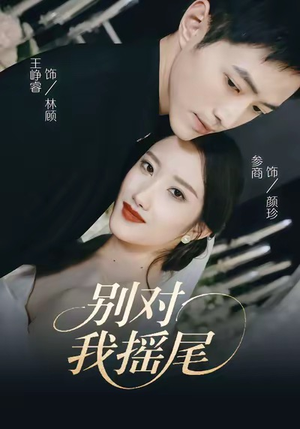 别对我摇尾（59集）全集我都看完了
