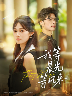 我等晨光等风来（70集）免费观看