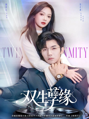 双生孽缘（80集）80到100集