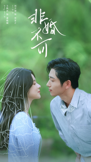 非婚不可（65集）短剧热门推荐