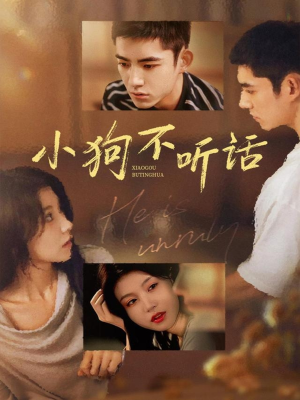 小狗不听话（70集）推荐你们也去看