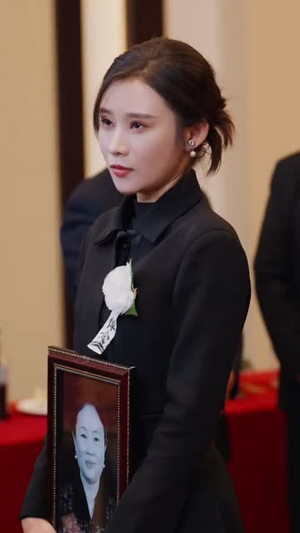 我把婆婆当亲妈(37集) 我把婆婆当亲妈(37集)古装热门短剧