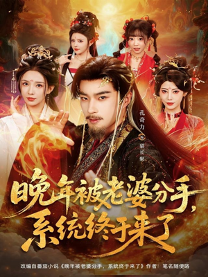 晚年被老婆分手，系统终于来了（80集）口碑之选免费看