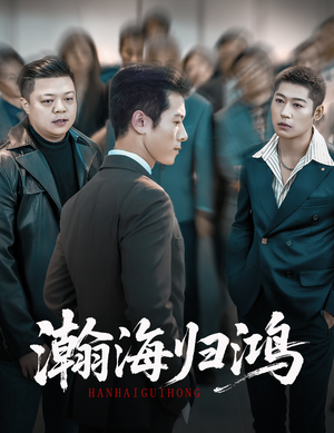 瀚海归鸿（74集）热门短剧来袭