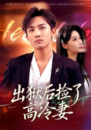 出狱后捡了高冷妻（71集）短剧越看越精彩