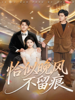 恰似晚风不留痕(61集) 恰似晚风不留痕(61集)高清画质免费看