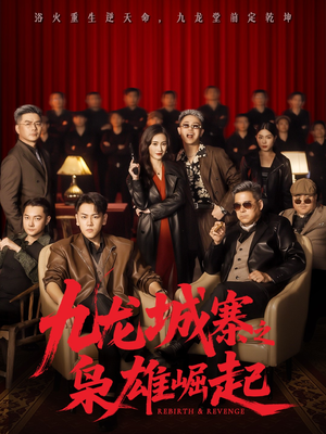 九龙局中局（71集）解说文案