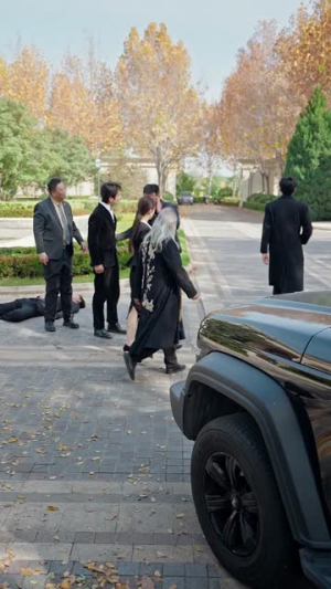 SSS级战龙令(80集) SSS级战龙令(80集)哪个网站可以看