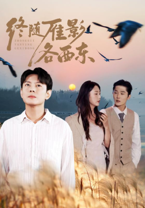 终随雁影各西东（86集）在线看免费版