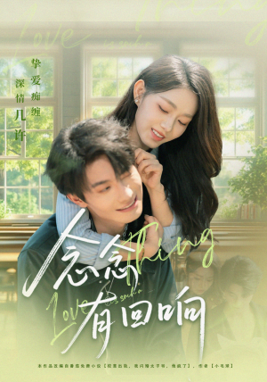 念念有回响（78集）短剧完整版免费