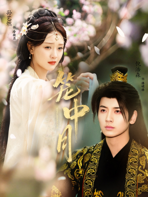 笼中月（65集）百度网盘资源