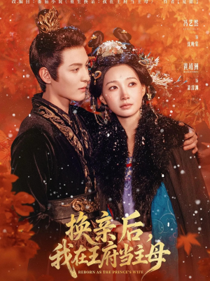 换亲后,我在王府当主母(80集) 换亲后,我在王府当主母(80集)短剧精彩不断