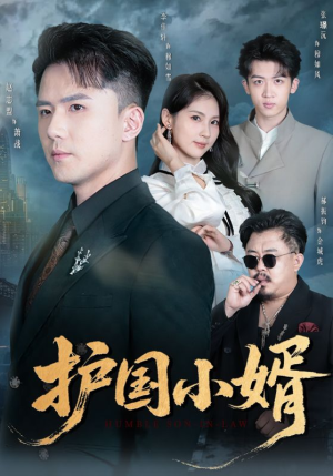 护国小婿（60集）评价怎么样