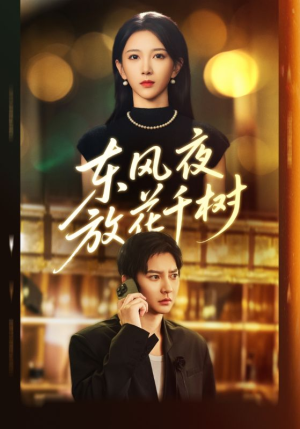 东风夜放花千树（91集）无需充值尽情看