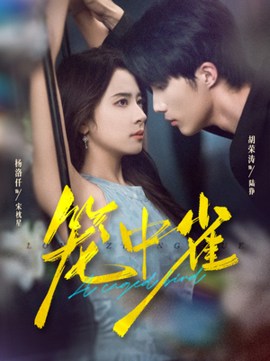 笼中雀(65集) 笼中雀(65集)短剧解说全集