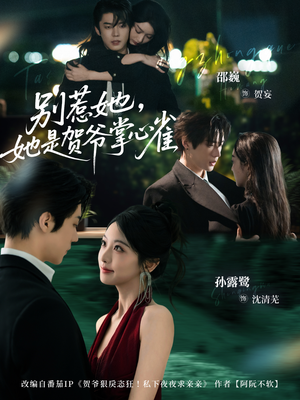 别惹她,她是贺爷掌心雀(69集) 别惹她,她是贺爷掌心雀(69集)一共多少集