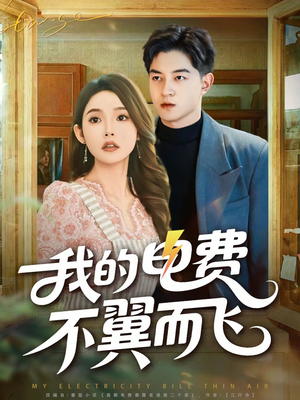 我的电费不翼而飞(60集) 我的电费不翼而飞(60集)好看吗
