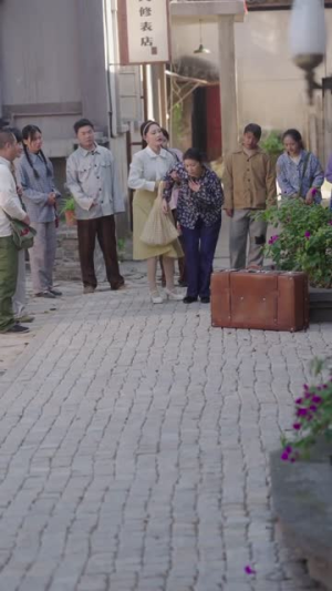 蓦然回首山河远阔（66集）短剧抢先看