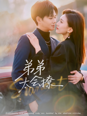 弟弟太会撩(81集) 弟弟太会撩(81集)第二季