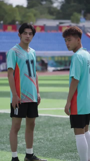 我在野生球场当门神(31集) 我在野生球场当门神(31集)看到大结局