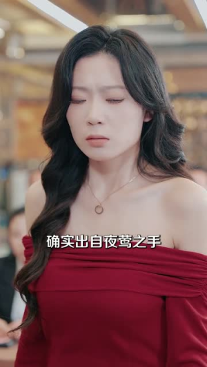 祁总送我入狱,我出狱即开挂(60集) 祁总送我入狱,我出狱即开挂(60集)经典老剧免费看