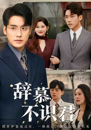 七年情深终成侮（77集）在哪个平台看