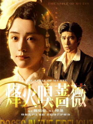 烽火嗅蔷薇（63集）在线免费观影