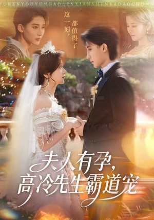 夫人有孕，高冷先生霸道宠（60集）在哪里可以全集