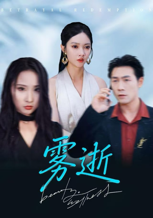 雾逝（30集）流畅播放免费看