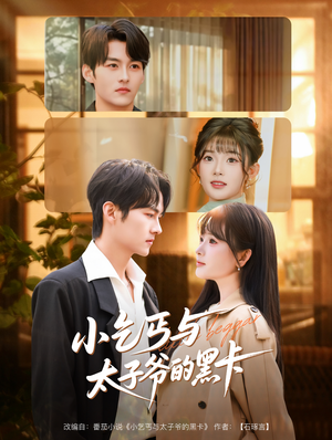 小乞丐与太子爷的黑卡（60集）在线看到大结局