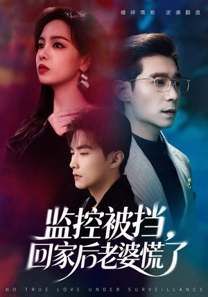 监控被挡，回家后老婆慌了（60集）全集我都看完了