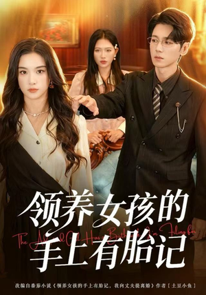 领养女孩的手上有胎记（60集）百度网盘在线看