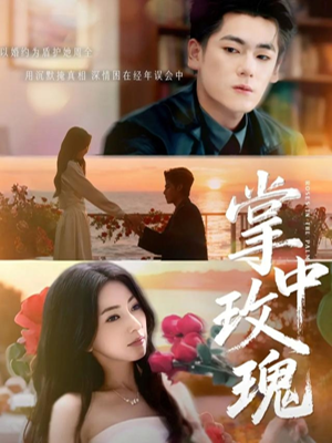 掌中玫瑰（60集）高分佳作免费看