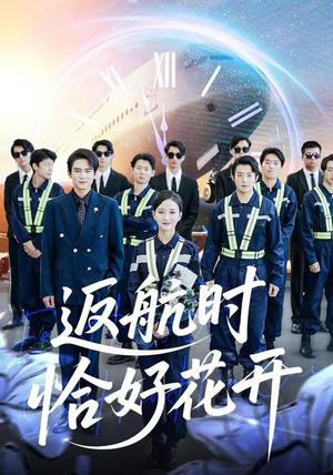 返航时恰好花开（101集） 在线看完整版