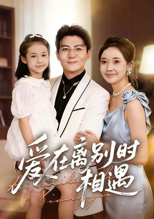 爱在离别时相遇（60集）网络小短剧
