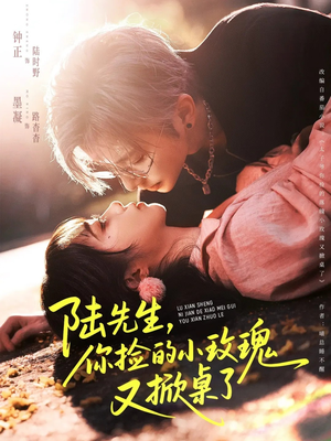 陆先生，你捡的小玫瑰又掀桌了（74集）最新短剧推荐