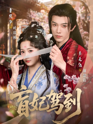 盲妃驾到（65集）独家资源免费看