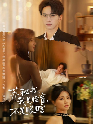 苏秘书我是脸盲不是眼瞎（80集）一起追短剧
